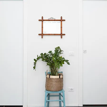 Campani By In *